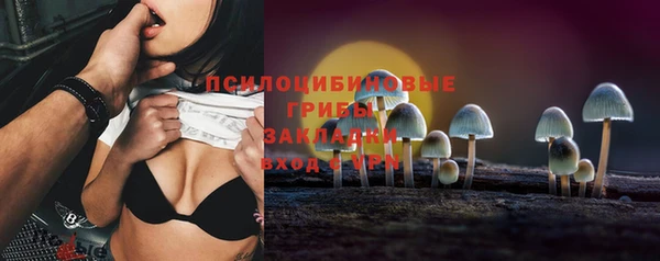 Альфа ПВП Лагань