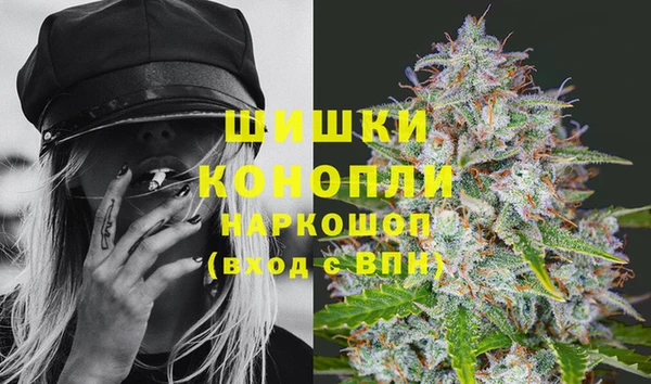 Альфа ПВП Лагань