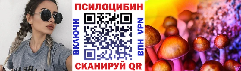 Галлюциногенные грибы Magic Shrooms  Устюжна 