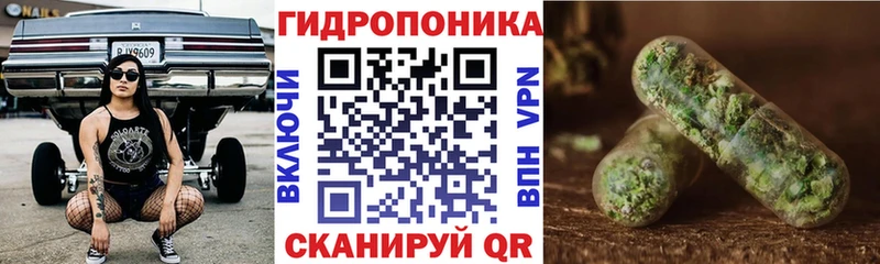 Бошки марихуана планчик  ссылка на мегу   Устюжна 